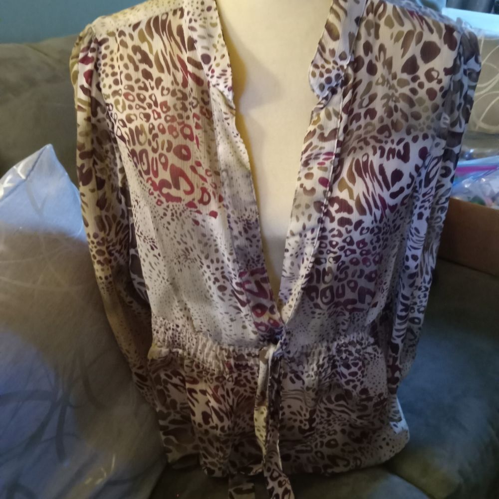 Sheer blouse pairs beautifully with a cranberry colored tank. Rouged waist.